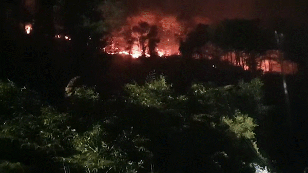 Huy động gần 1.000 người dập các đám cháy rừng thông gần kho K890 Cục Quân Khí