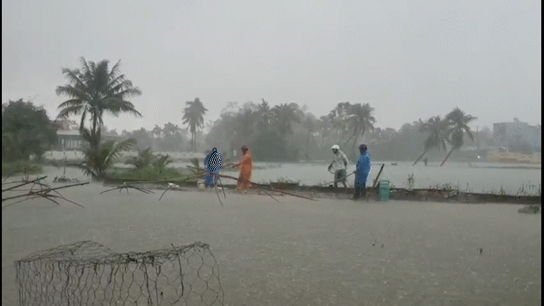 Cá nuôi “không cánh mà bay” sau mưa lớn, người dân Đà Nẵng vớt cá chạy lụt
