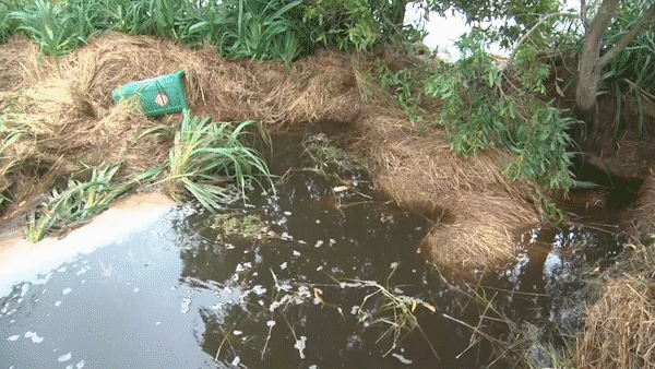 Nước từ bãi rác chảy ra ruộng đồng bốc mùi hôi thối, gây ô nhiễm