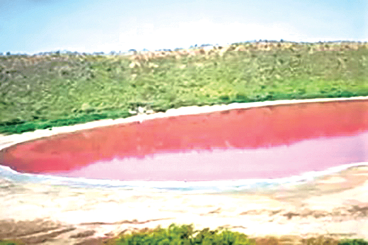 Hồ nước hóa màu hồng