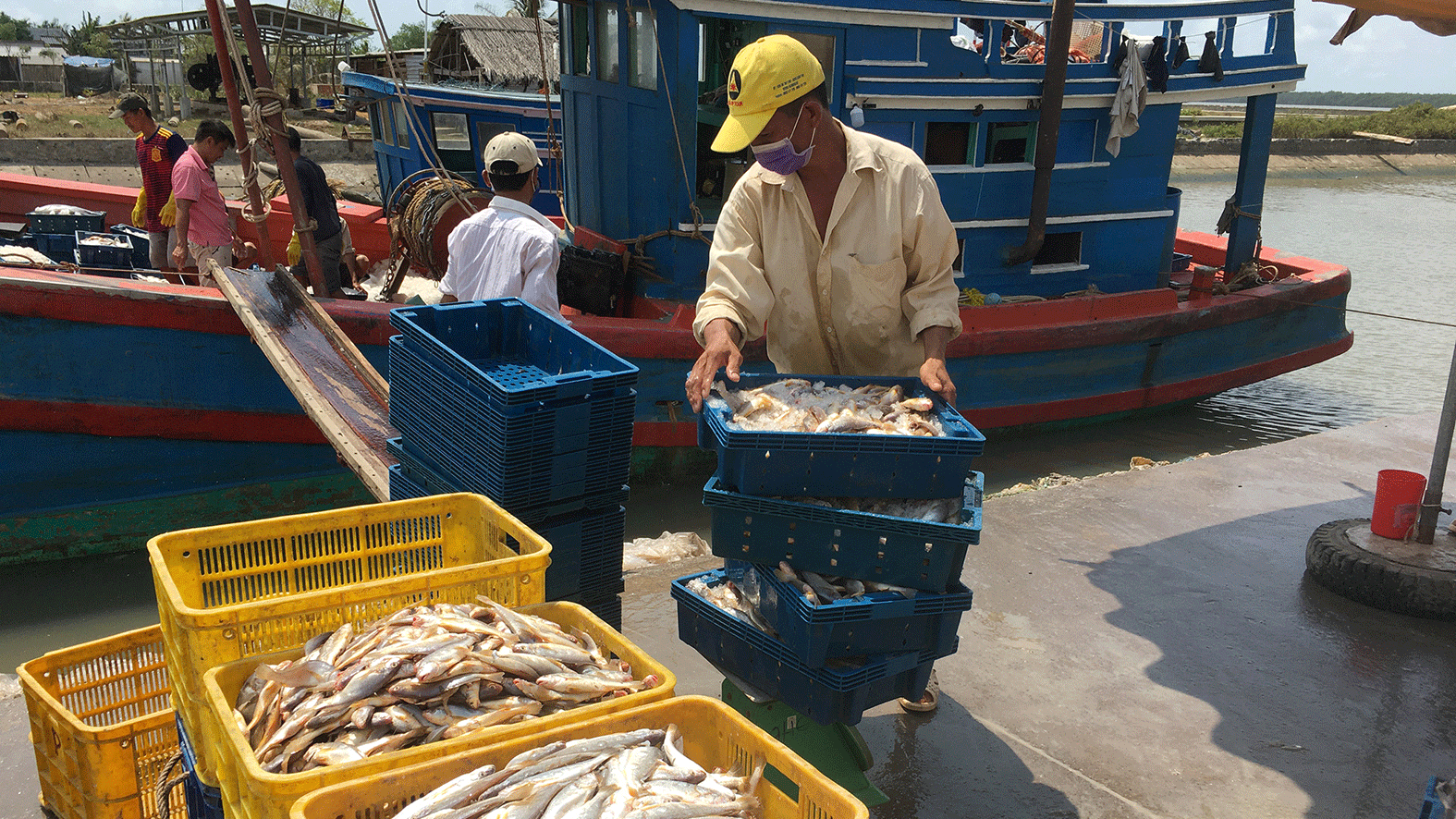 Tăng tốc với EVFTA: Châu Âu mở rộng cửa cho thủy sản Việt Nam 