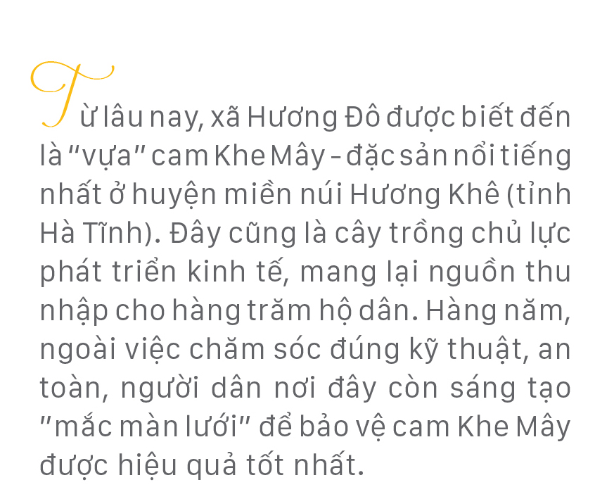 "Mắc màn lưới" bảo vệ cam Khe Mây đặc sản ở Hà Tĩnh ảnh 1