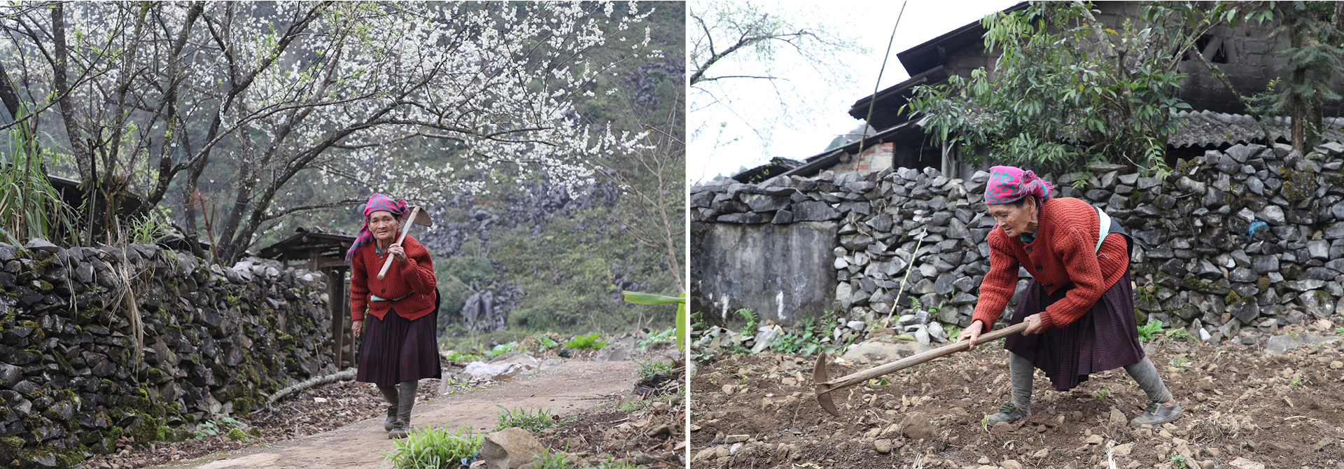 Nét đẹp người phụ nữ vùng cao nguyên đá Hà Giang ảnh 12