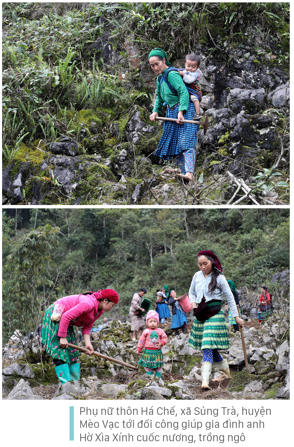 Nét đẹp người phụ nữ vùng cao nguyên đá Hà Giang ảnh 14