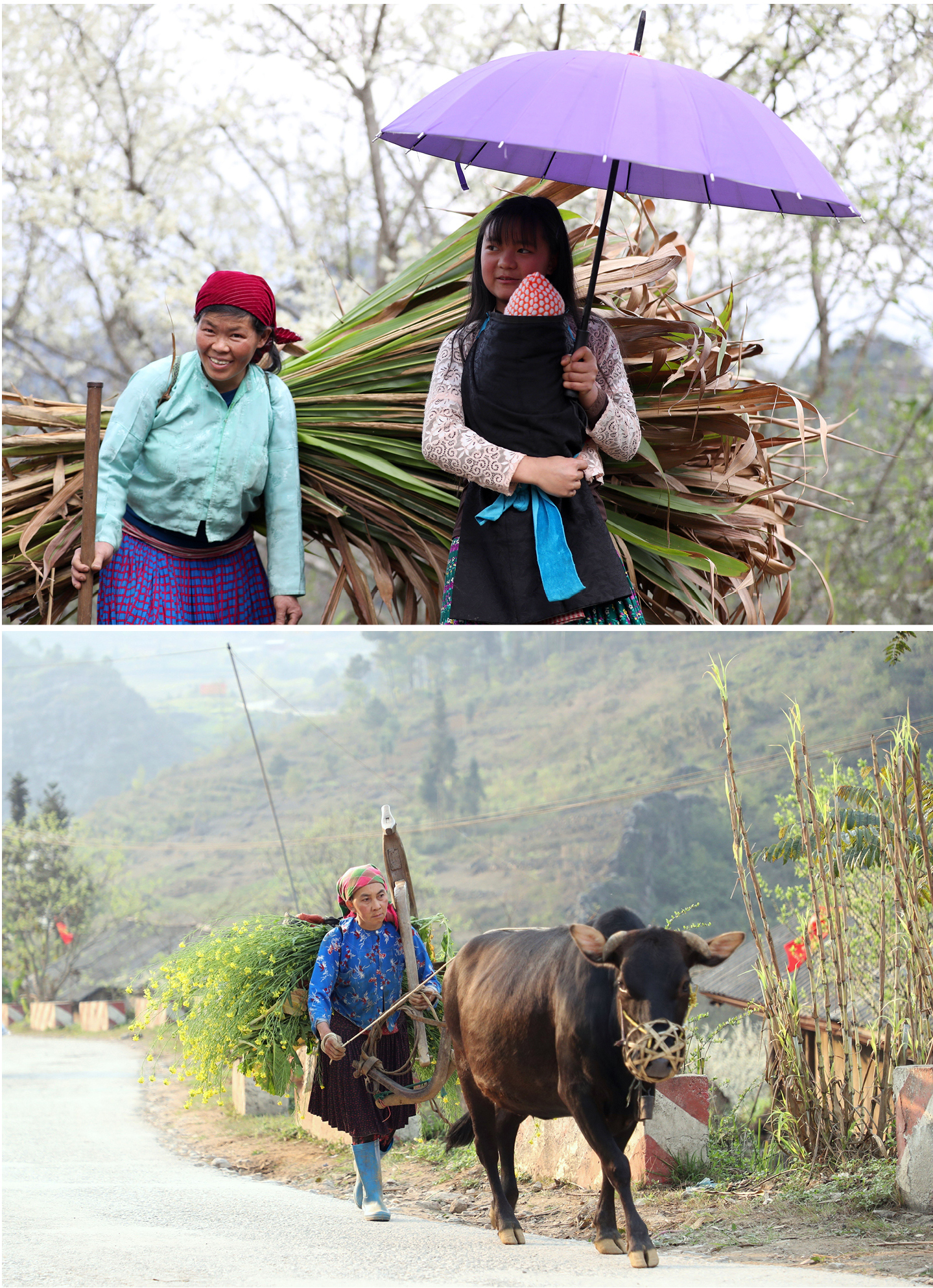 Nét đẹp người phụ nữ vùng cao nguyên đá Hà Giang ảnh 10