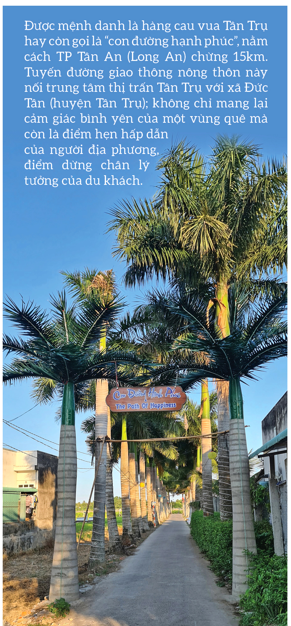 “Con đường hạnh phúc” ở Long An ảnh 1