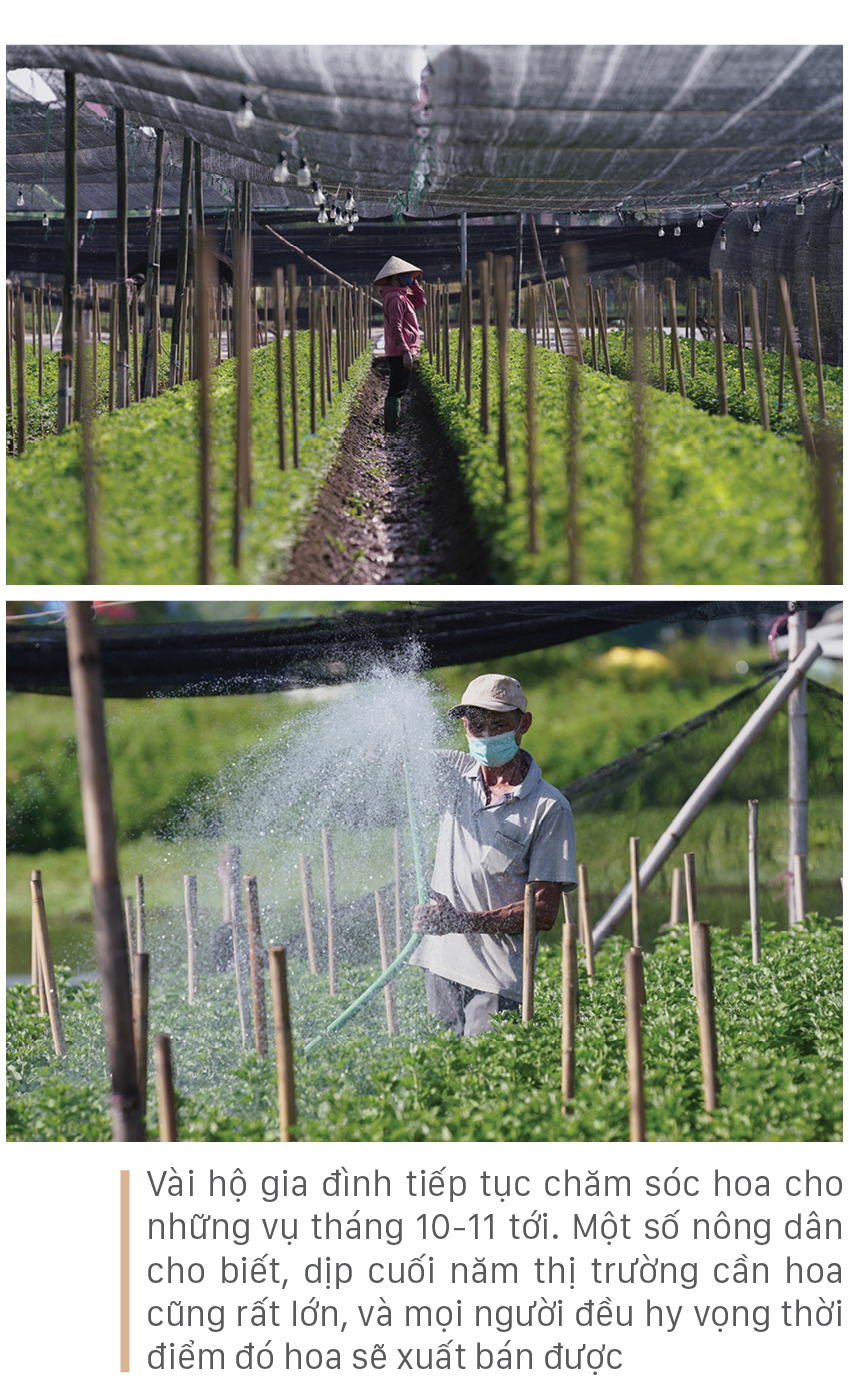 Làng hoa Tây Tựu “điêu đứng” vì dịch Covid-19 ảnh 10