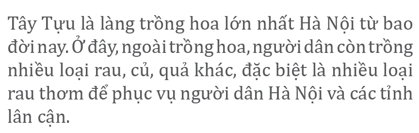 Làng hoa Tây Tựu “điêu đứng” vì dịch Covid-19 ảnh 12