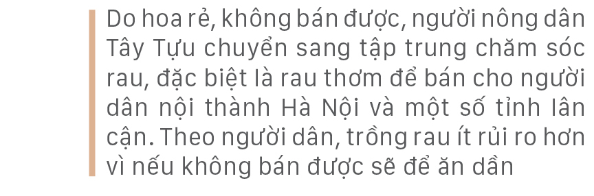 Làng hoa Tây Tựu “điêu đứng” vì dịch Covid-19 ảnh 14