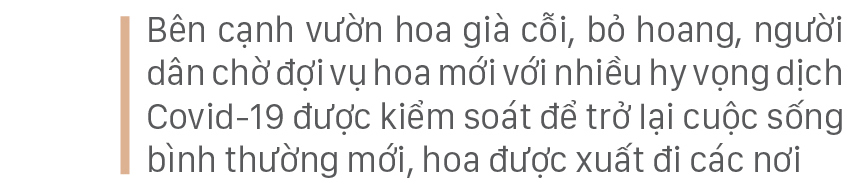 Làng hoa Tây Tựu “điêu đứng” vì dịch Covid-19 ảnh 9