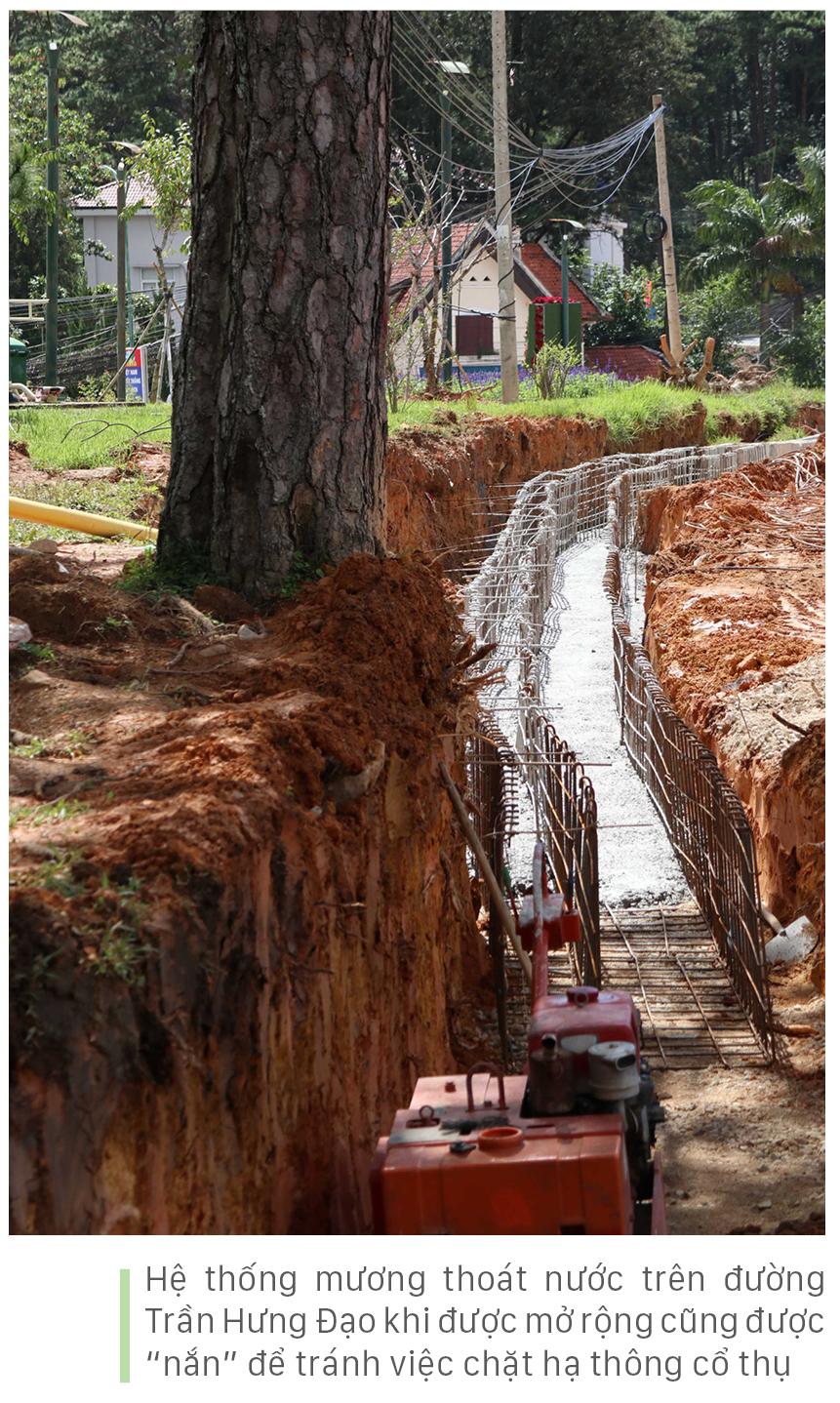 Đà Lạt gấp rút mở rộng hàng loạt nút giao thông trọng điểm ảnh 14