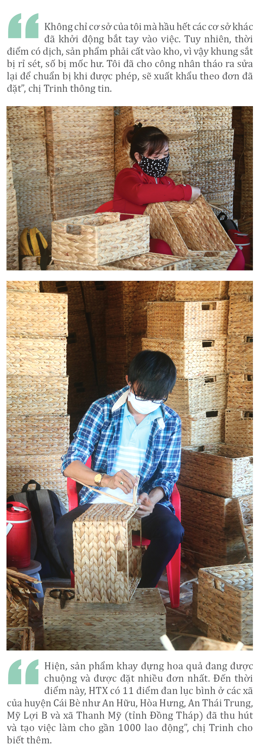 Lục bình 'vươn khơi' ảnh 10