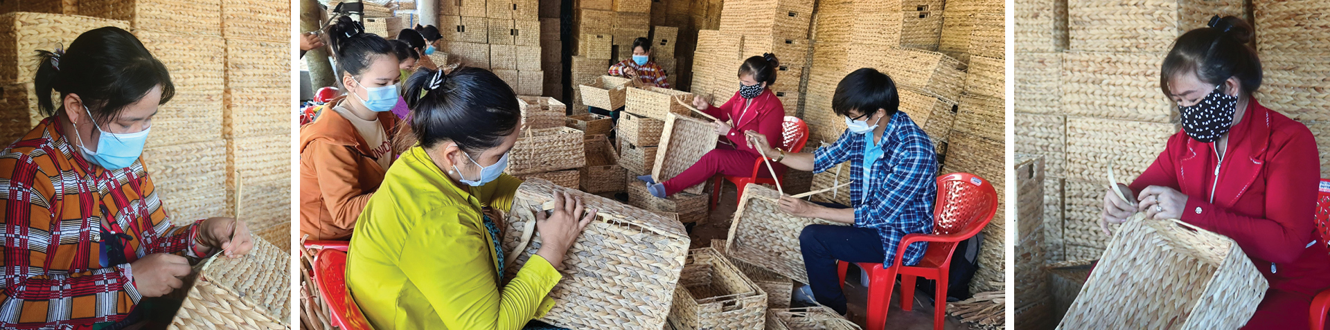 Lục bình 'vươn khơi' ảnh 9