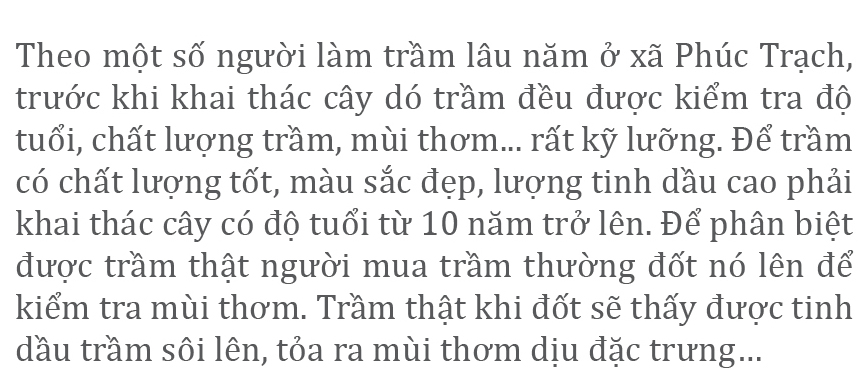 Phúc Trạch - 'thủ phủ' của cây dó trầm ảnh 11