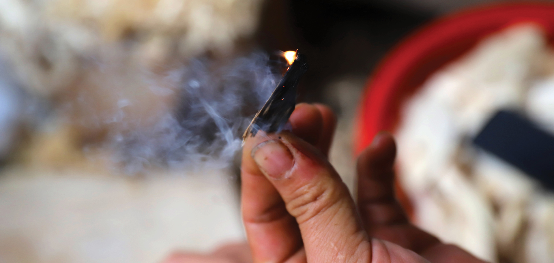 Phúc Trạch - 'thủ phủ' của cây dó trầm ảnh 12