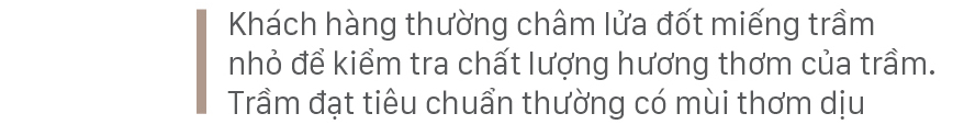 Phúc Trạch - 'thủ phủ' của cây dó trầm ảnh 13