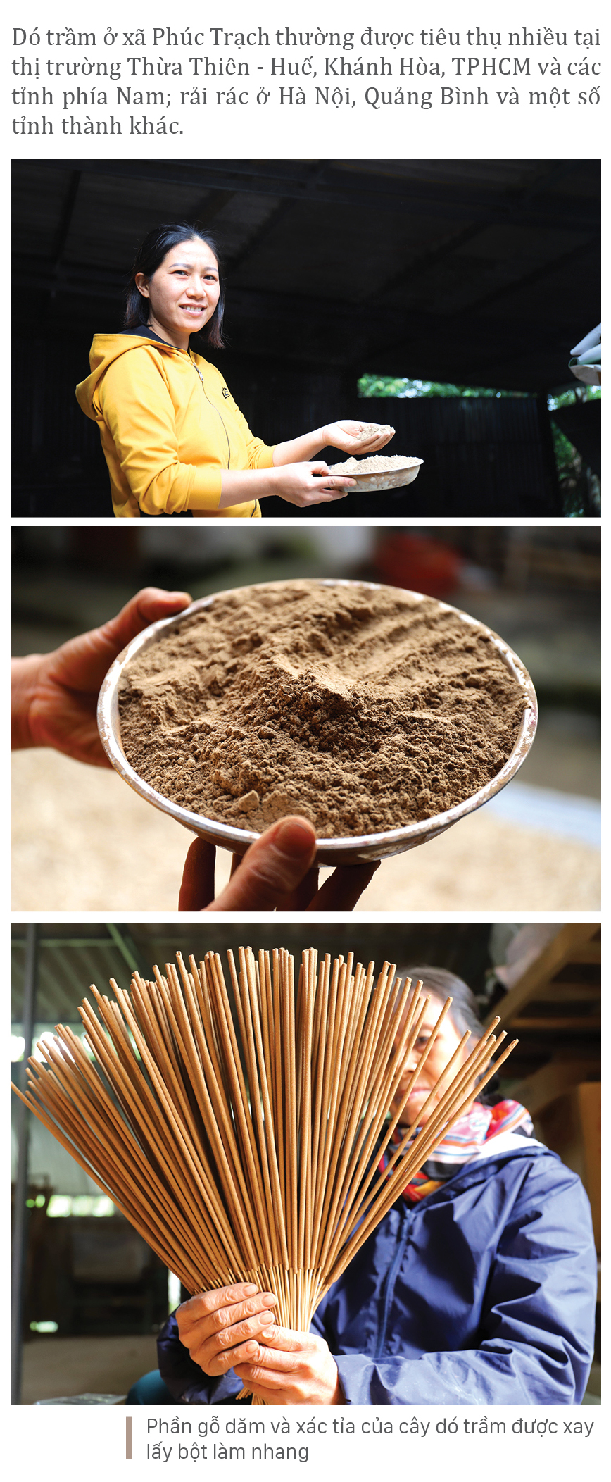 Phúc Trạch - 'thủ phủ' của cây dó trầm ảnh 14