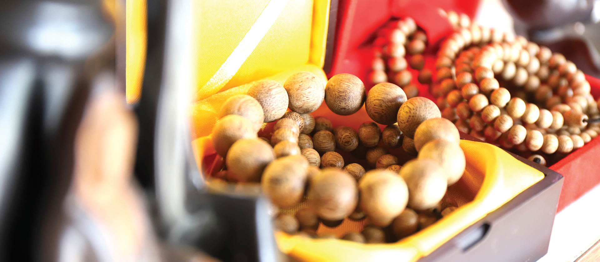 Phúc Trạch - 'thủ phủ' của cây dó trầm ảnh 19