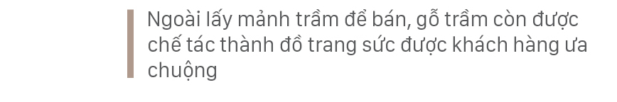 Phúc Trạch - 'thủ phủ' của cây dó trầm ảnh 20
