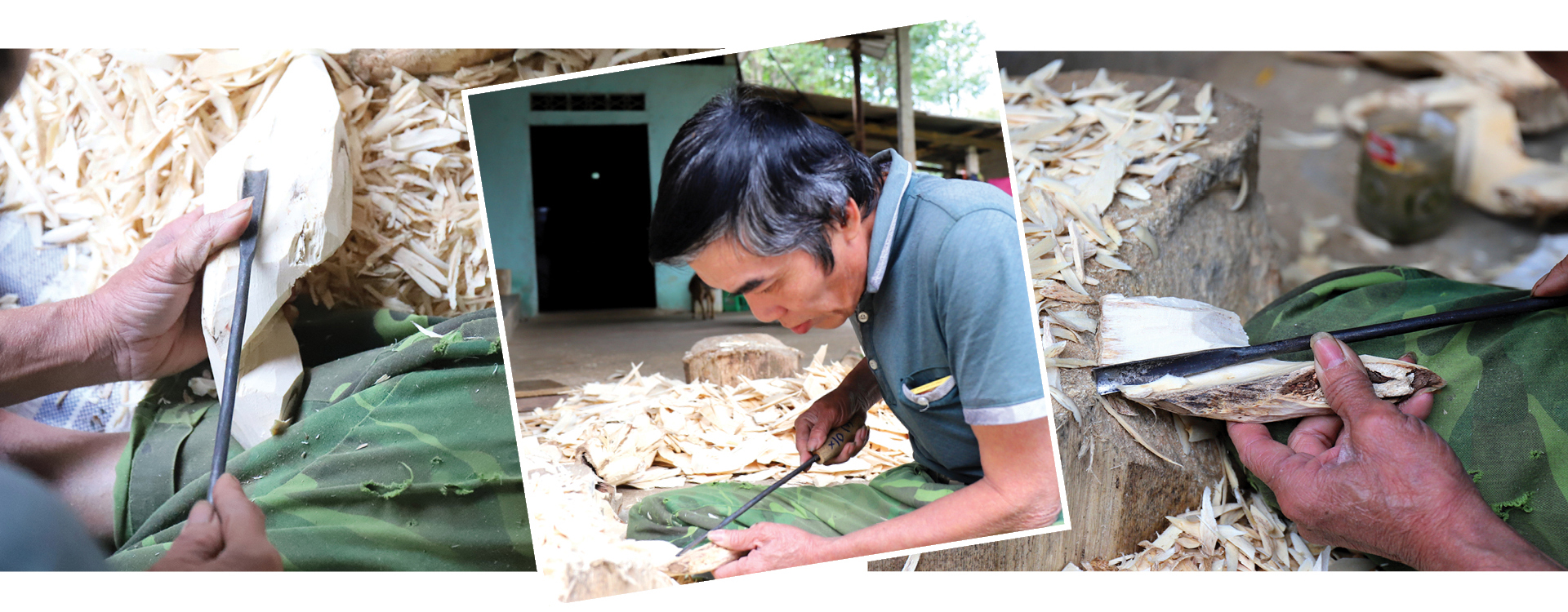 Phúc Trạch - 'thủ phủ' của cây dó trầm ảnh 8