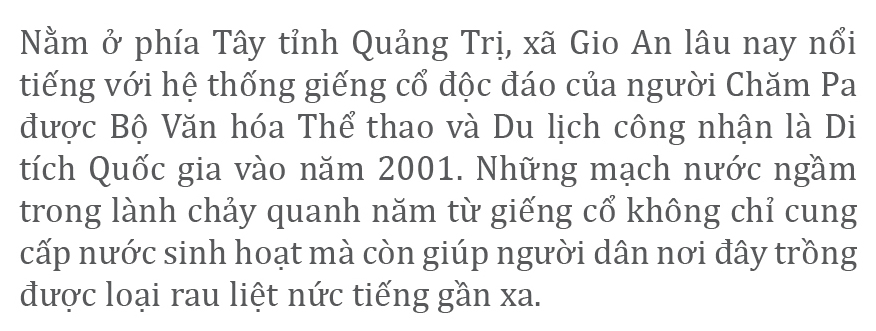 Mùa thu hoạch rau liệt bên giếng cổ ngàn năm ảnh 2
