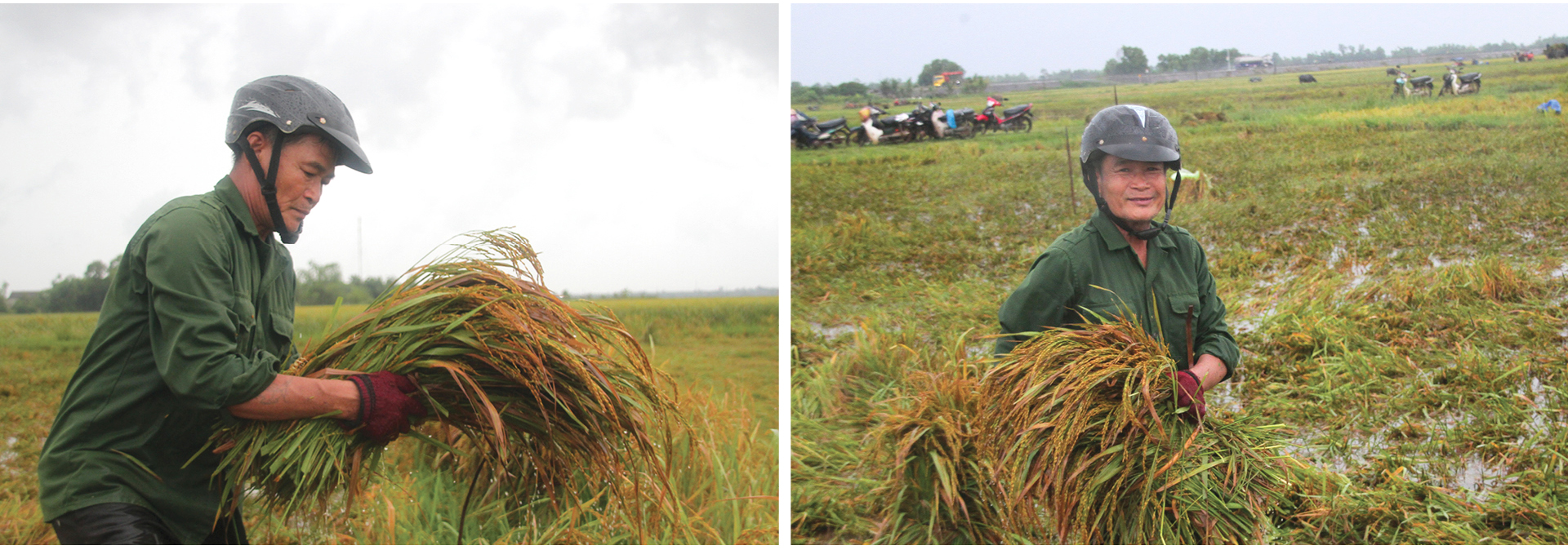 Nông dân miền Trung dầm mình cứu lúa sau mưa bão ảnh 10