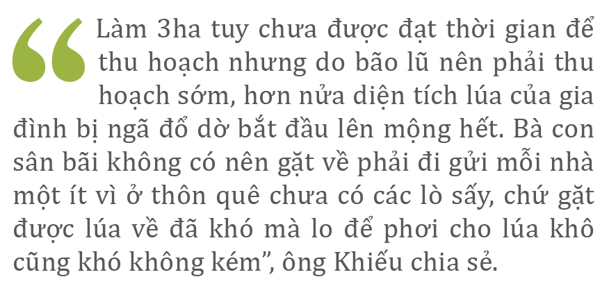 Nông dân miền Trung dầm mình cứu lúa sau mưa bão ảnh 12