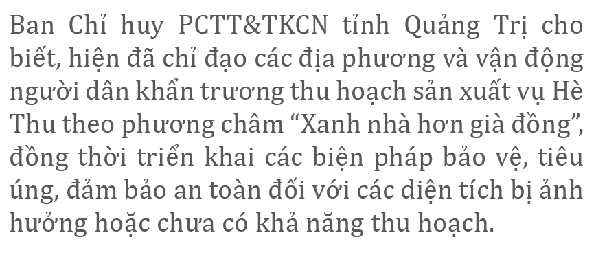 Nông dân miền Trung dầm mình cứu lúa sau mưa bão ảnh 15