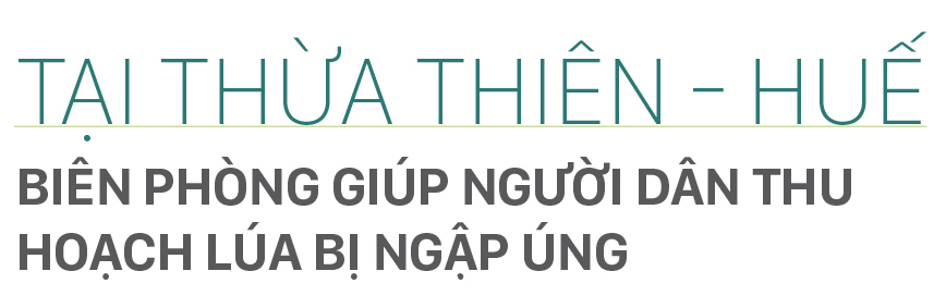 Nông dân miền Trung dầm mình cứu lúa sau mưa bão ảnh 16