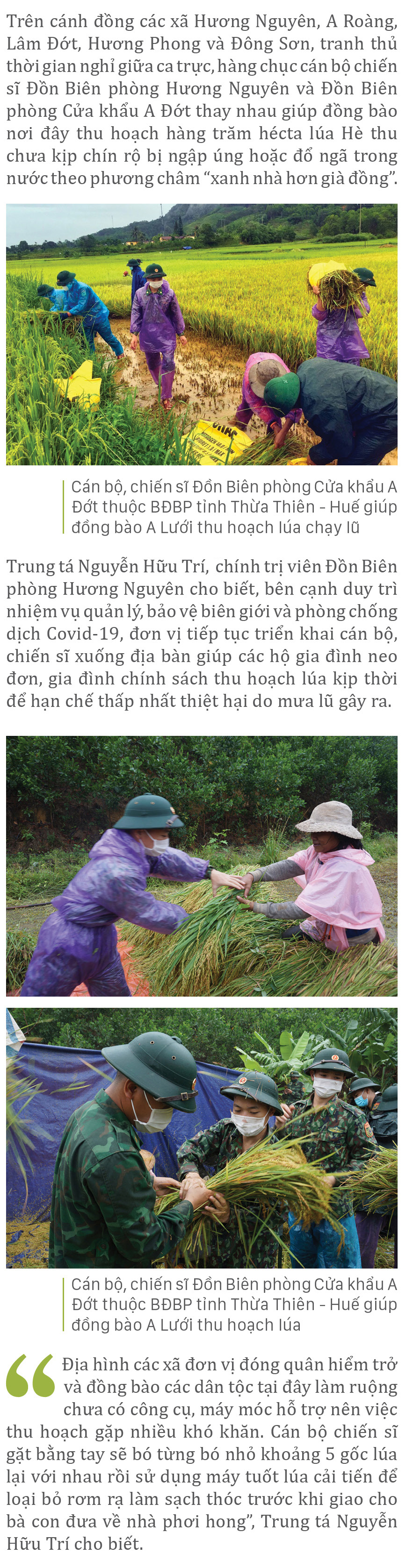 Nông dân miền Trung dầm mình cứu lúa sau mưa bão ảnh 17