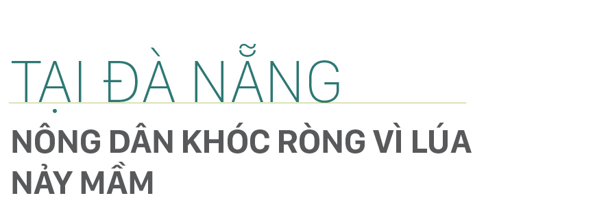 Nông dân miền Trung dầm mình cứu lúa sau mưa bão ảnh 20