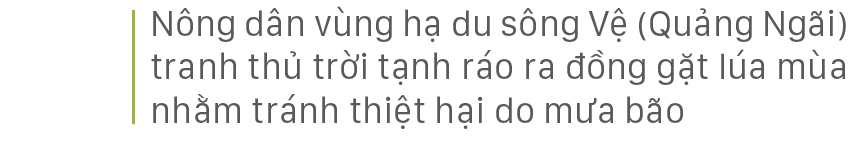 Nông dân miền Trung dầm mình cứu lúa sau mưa bão ảnh 29