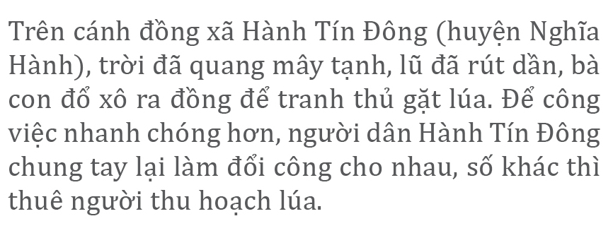 Nông dân miền Trung dầm mình cứu lúa sau mưa bão ảnh 30