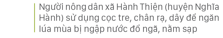 Nông dân miền Trung dầm mình cứu lúa sau mưa bão ảnh 35