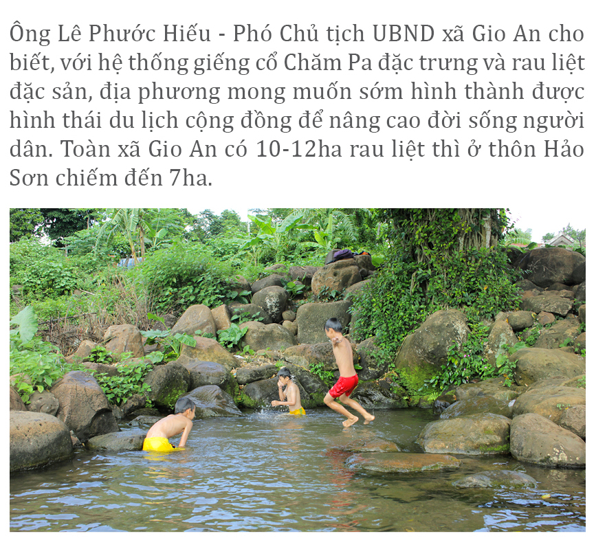 Mùa thu hoạch rau liệt bên giếng cổ ngàn năm ảnh 14