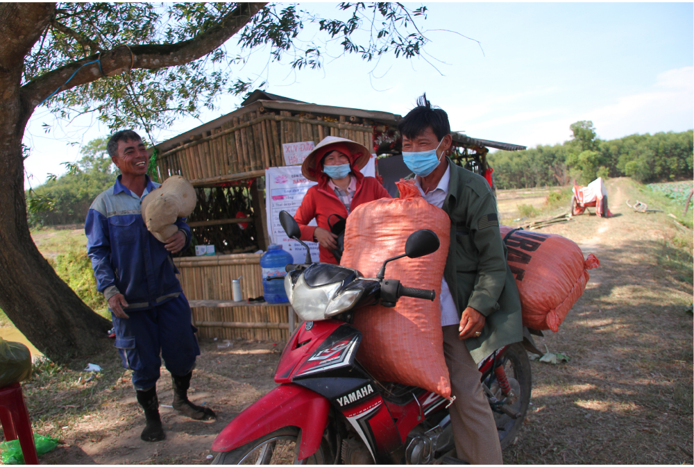 Nông dân dầm mình dưới bùn thu hoạch sen ảnh 17