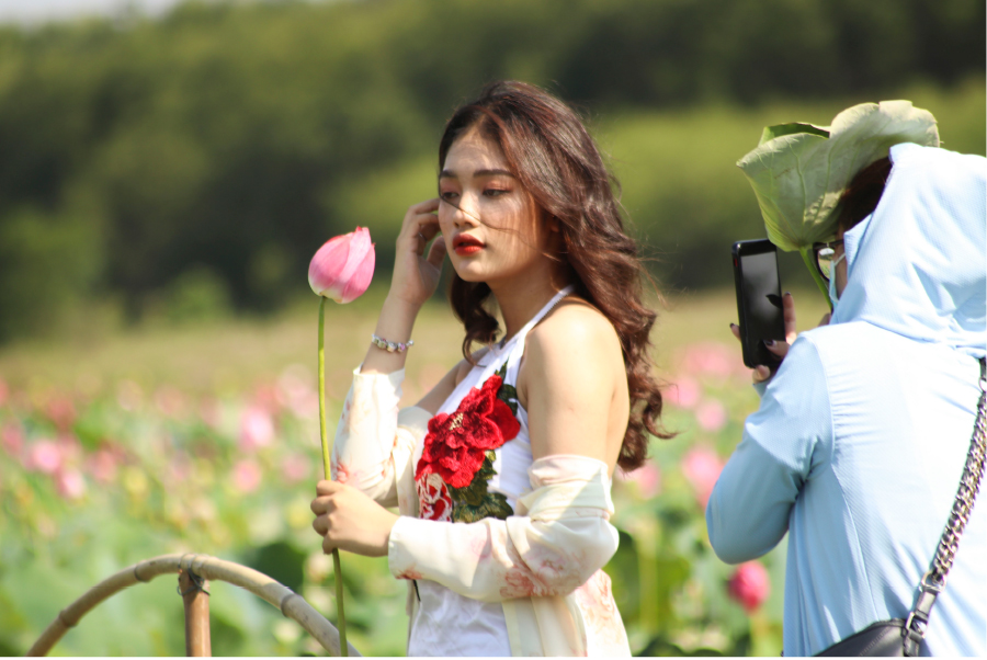 Nông dân dầm mình dưới bùn thu hoạch sen ảnh 25