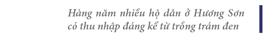 Hà Tĩnh vào mùa thu hoạch quả trám đen ảnh 16