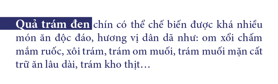 Hà Tĩnh vào mùa thu hoạch quả trám đen ảnh 8