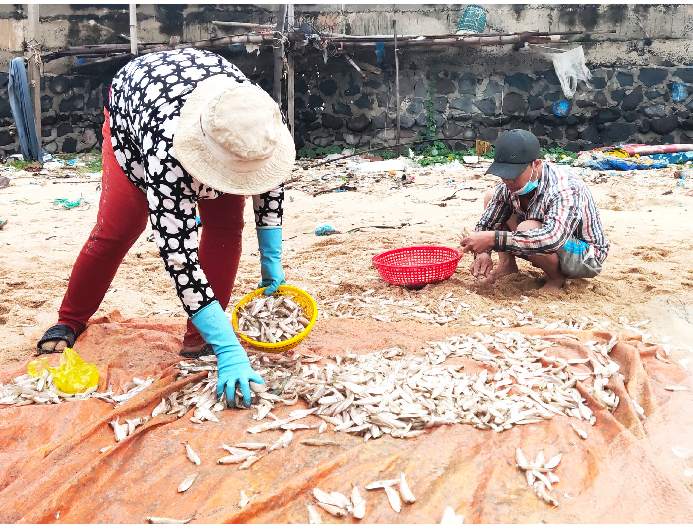 Hối hả vươn khơi ngày mở cửa biển sau giãn cách ảnh 11