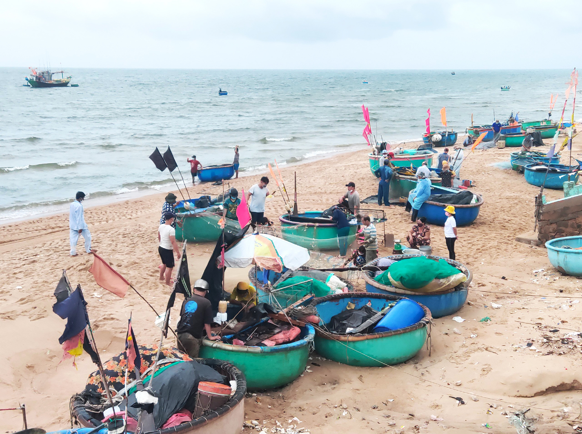 Hối hả vươn khơi ngày mở cửa biển sau giãn cách ảnh 14