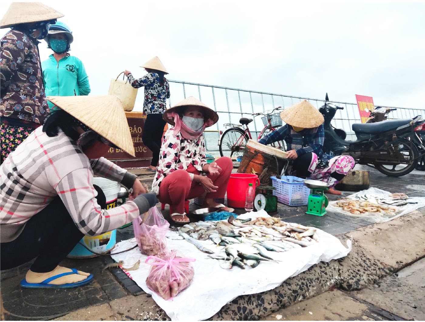 Hối hả vươn khơi ngày mở cửa biển sau giãn cách ảnh 17