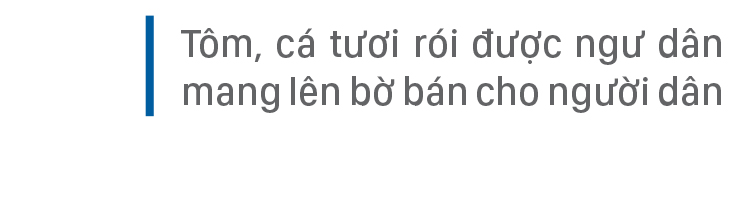 Hối hả vươn khơi ngày mở cửa biển sau giãn cách ảnh 18