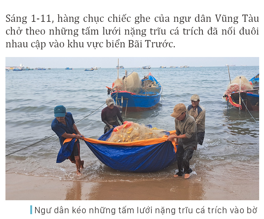 Cá trích mắc nặng lưới ngư dân Vũng Tàu ảnh 2