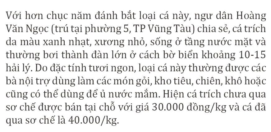 Cá trích mắc nặng lưới ngư dân Vũng Tàu ảnh 6