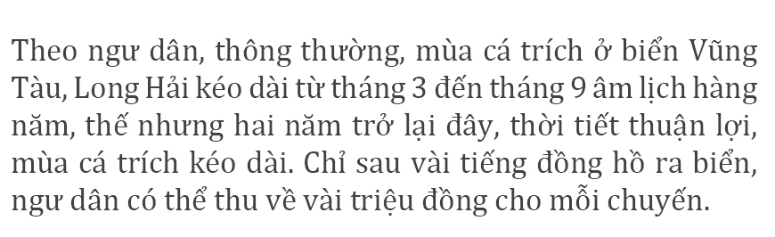 Cá trích mắc nặng lưới ngư dân Vũng Tàu ảnh 3