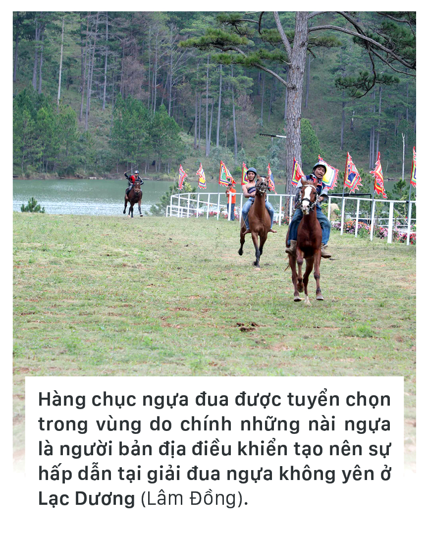 Độc đáo giải đua ngựa không yên ở Lạc Dương - Lâm Đồng ảnh 1