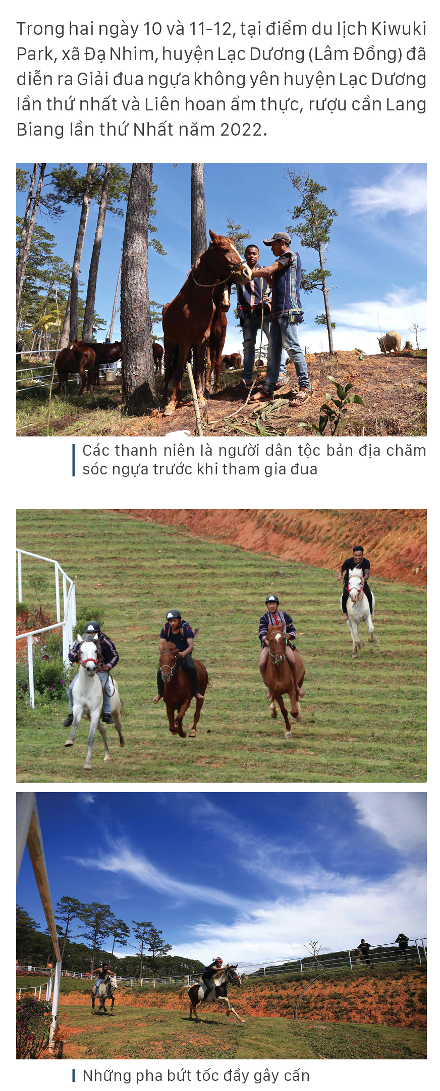 Độc đáo giải đua ngựa không yên ở Lạc Dương - Lâm Đồng ảnh 2