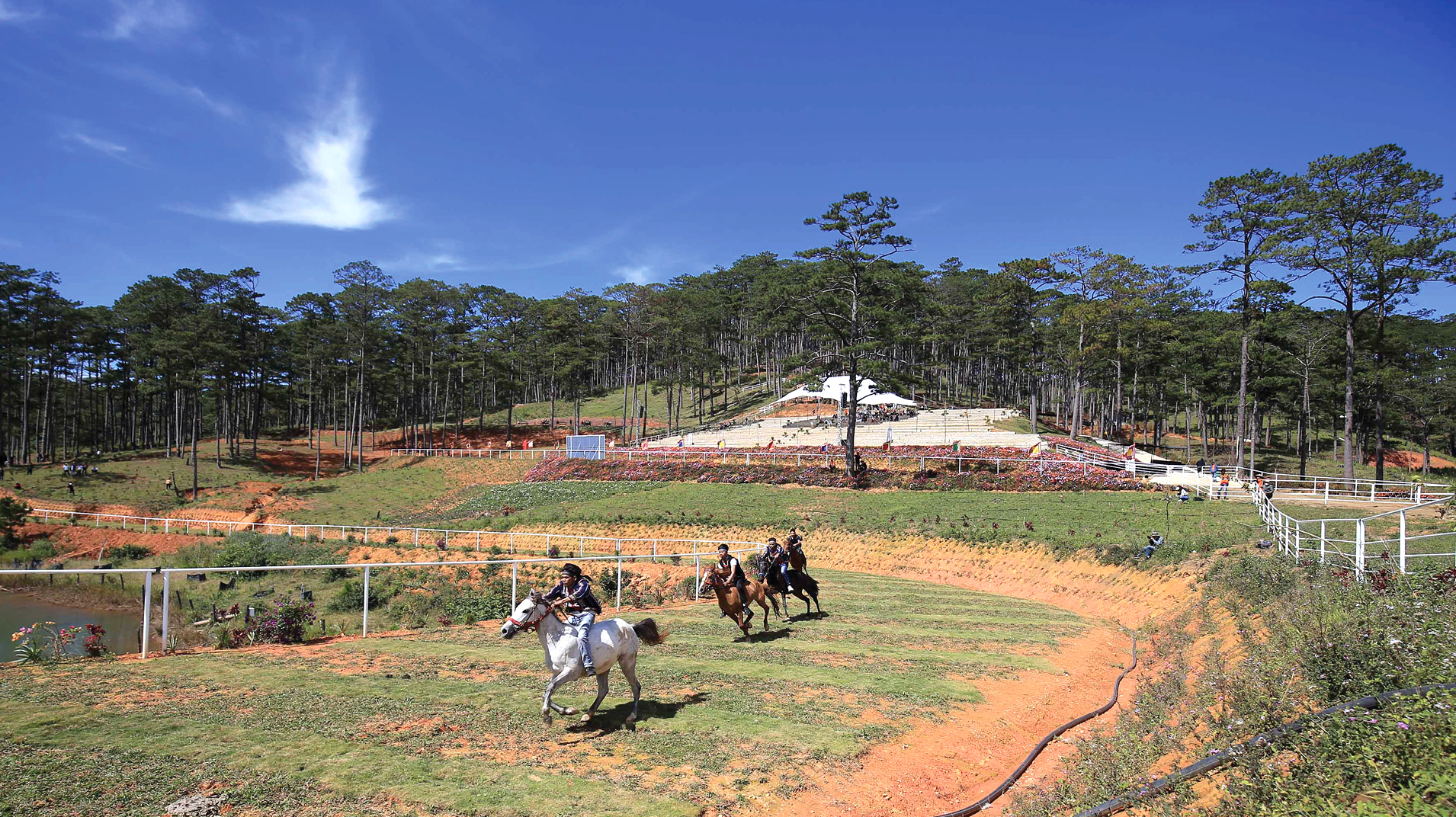 Độc đáo giải đua ngựa không yên ở Lạc Dương - Lâm Đồng ảnh 3