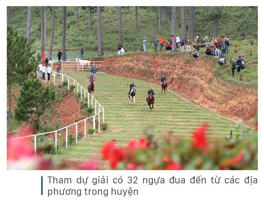 Độc đáo giải đua ngựa không yên ở Lạc Dương - Lâm Đồng ảnh 4